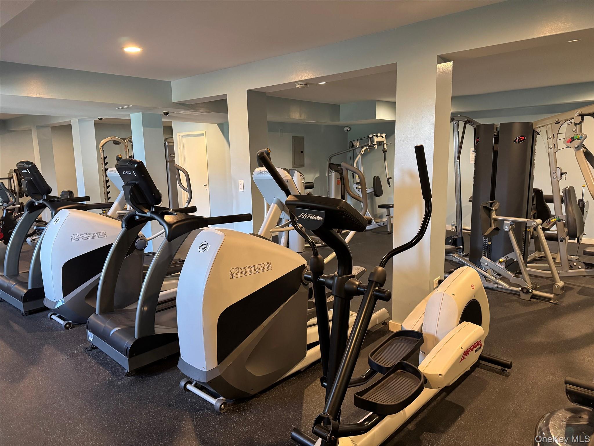 #18 photo, 70L Glen Avenue, 長島 格崙科夫 Glen Cove , NY 11579