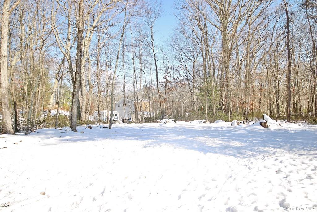 #9 photo, 6 Buck Hill Road, Summitville , NY 12790