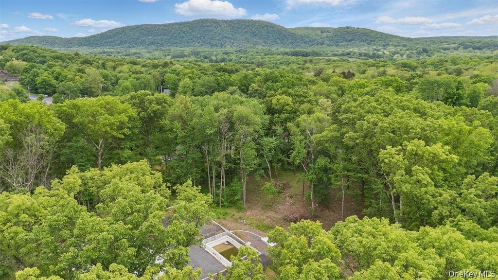 #12 photo, 715 Broadway, Esopus , NY 12429