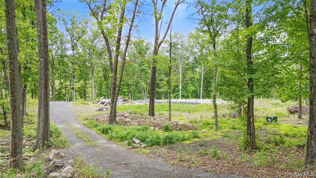 #5 photo, 715 Broadway, Esopus , NY 12429