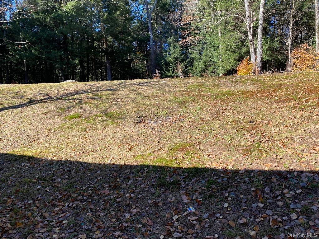 #17 photo, 141 Gale Road, 뉴욕주 Mongaup Valley , NY 12762