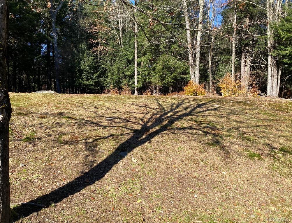 #18 photo, 141 Gale Road, 뉴욕주 Mongaup Valley , NY 12762