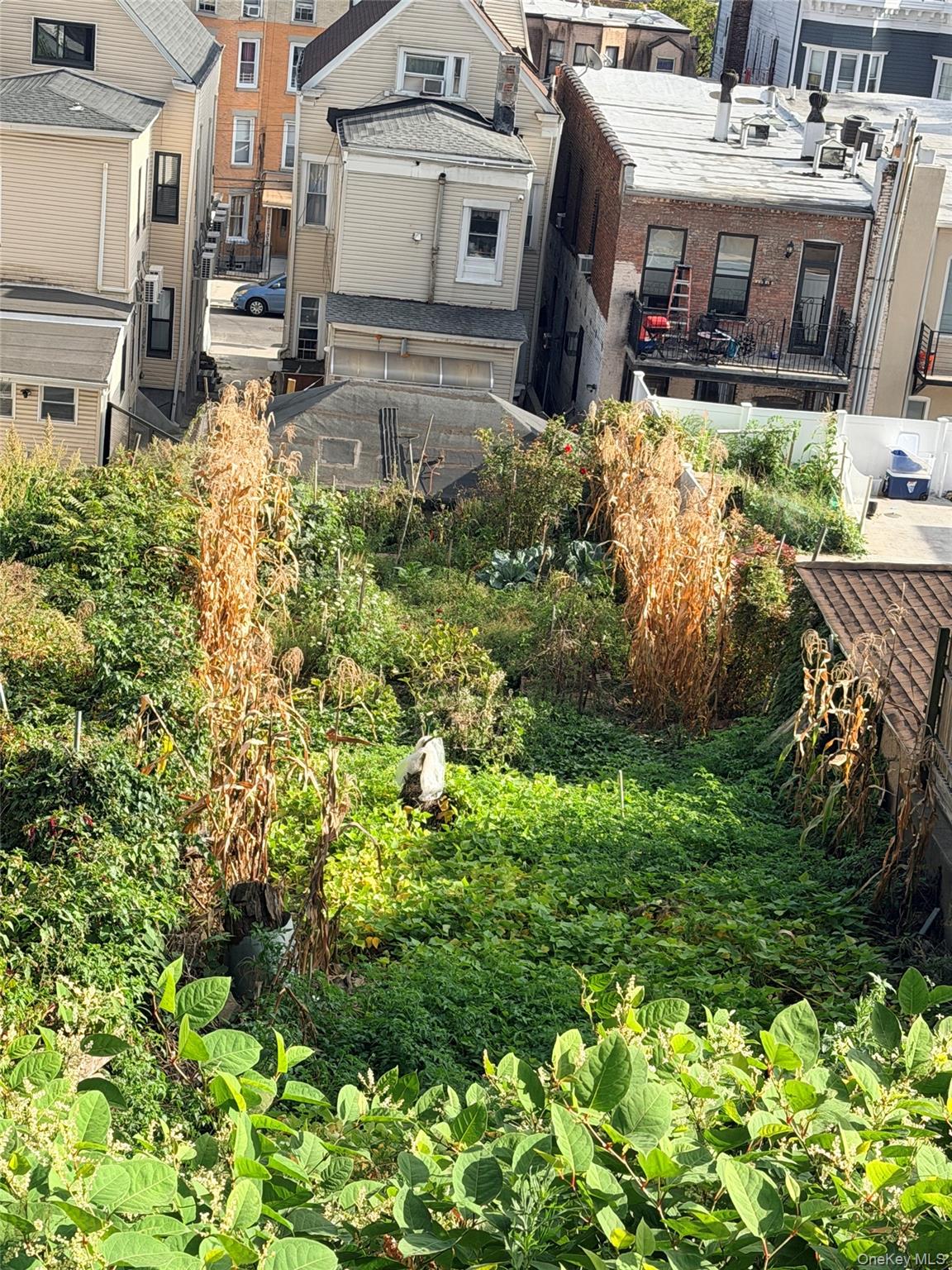 #11 photo, 211 Sunnyside Avenue, 브루클린 Brooklyn , NY 11207