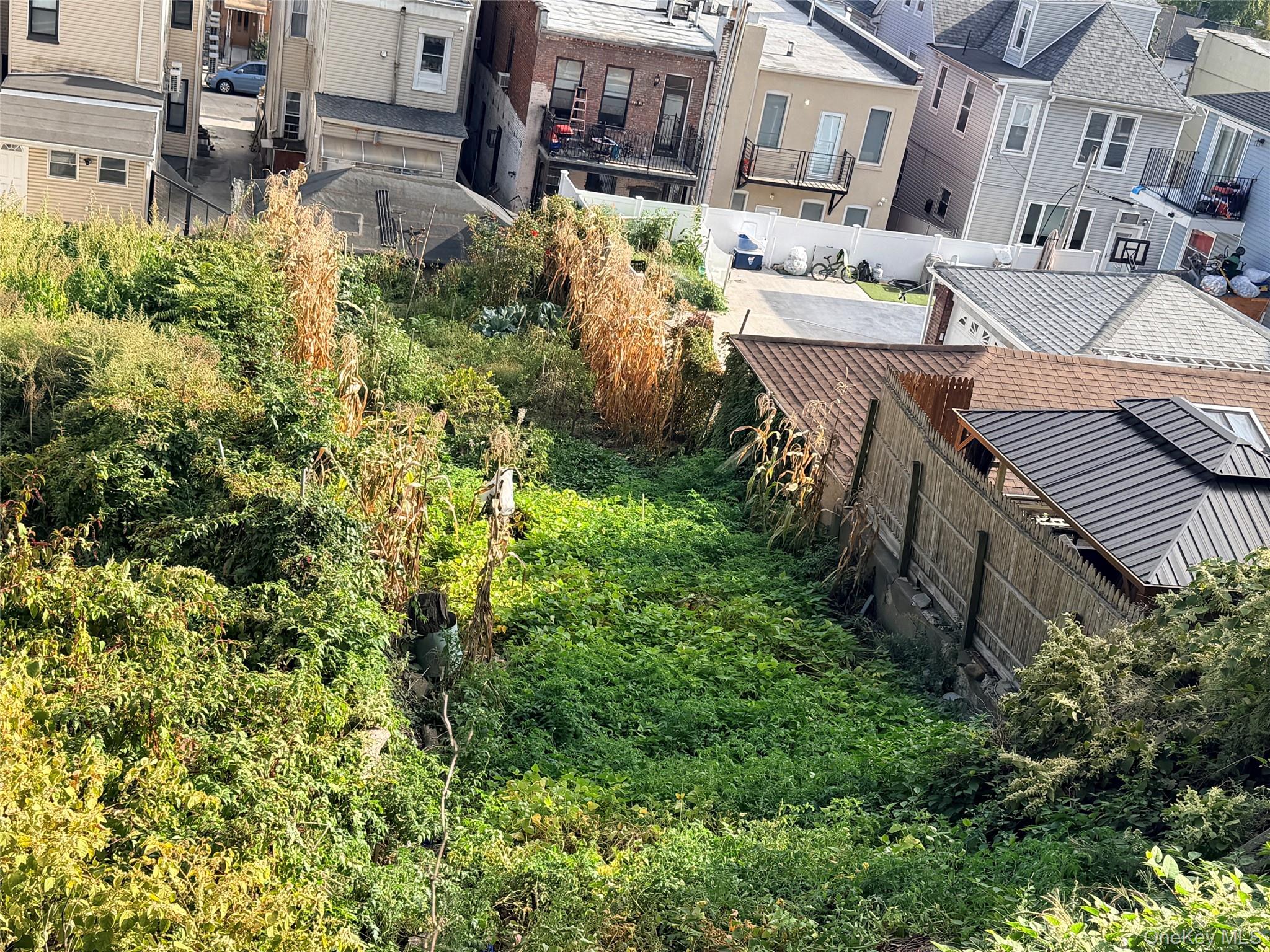 #9 photo, 211 Sunnyside Avenue, 브루클린 Brooklyn , NY 11207