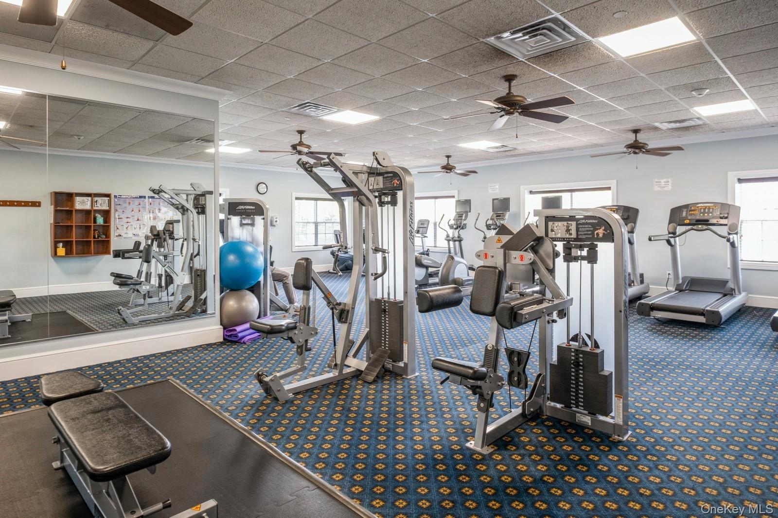 #6 photo, 434 Autumn Drive, 롱 아일랜드 East Meadow , NY 11554