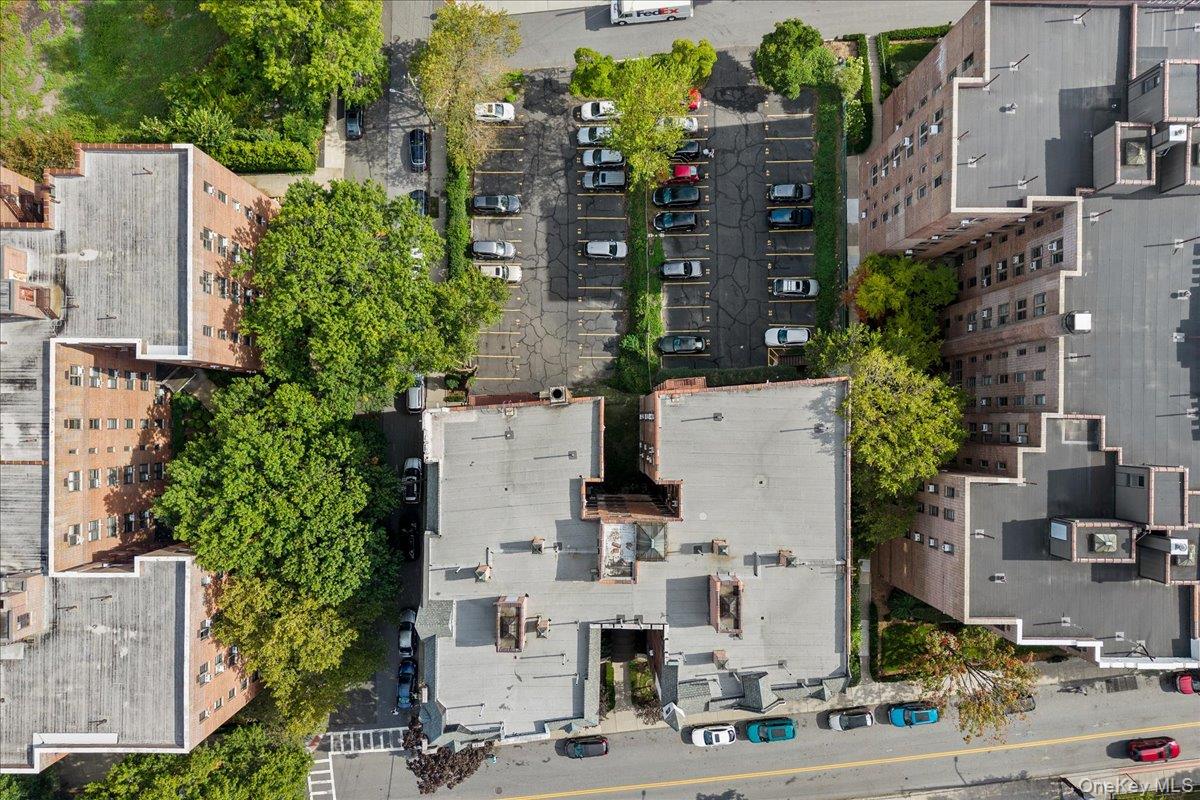 #13 photo, 312 Main Street, 뉴욕주 White Plains , NY 10601