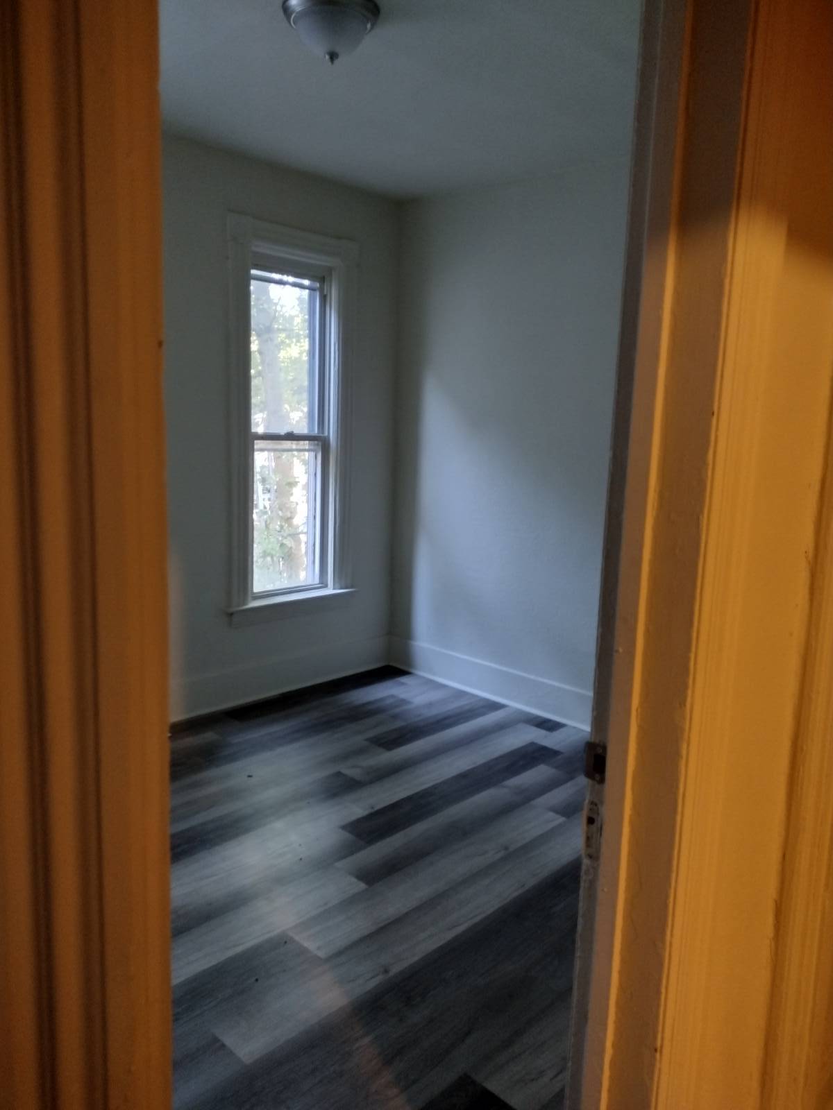 #8 photo, 11 Noyes, 纽约州 Utica , NY 13502