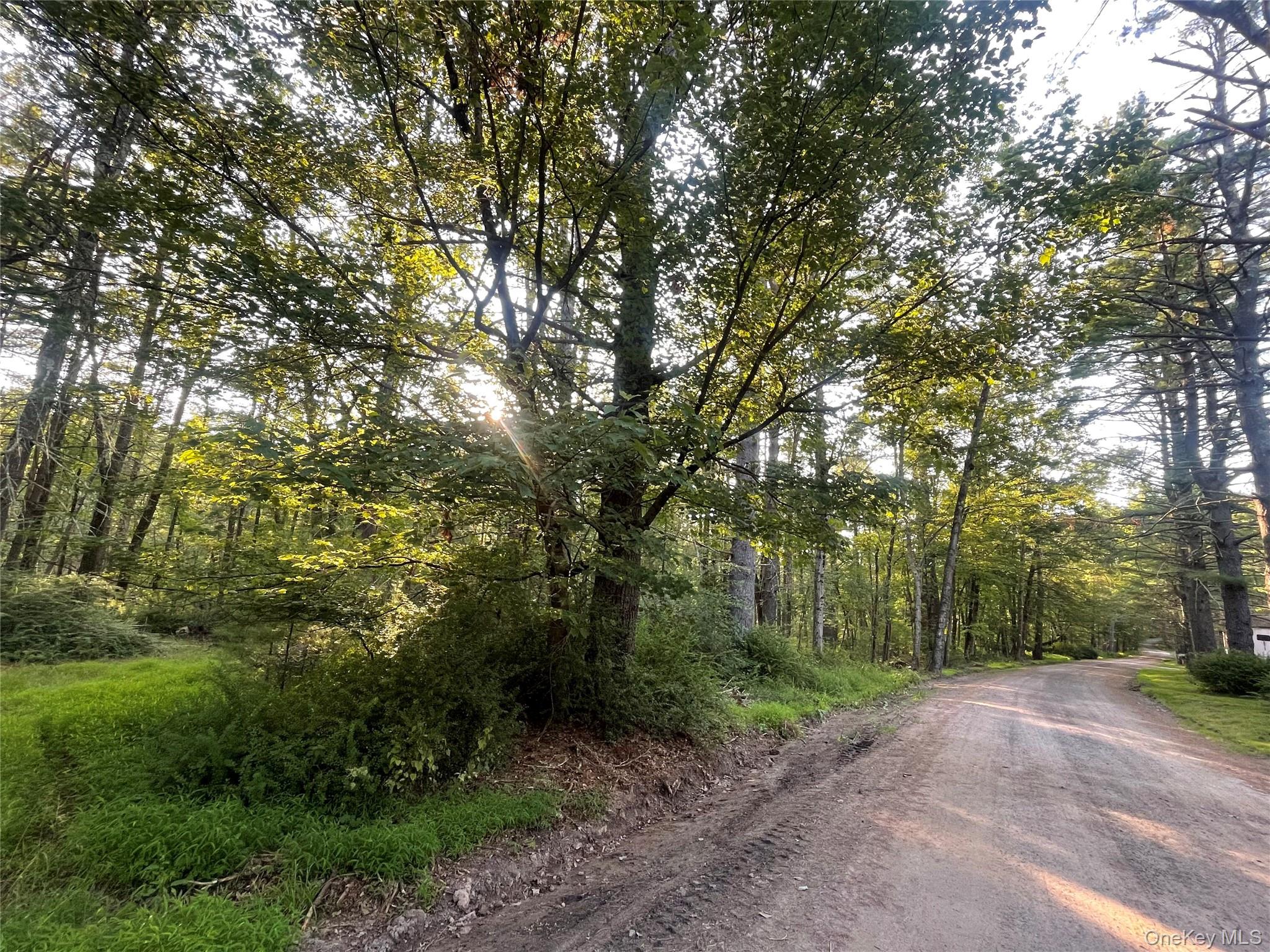 #3 photo, Loch Ada Road, Barryville , NY 12737