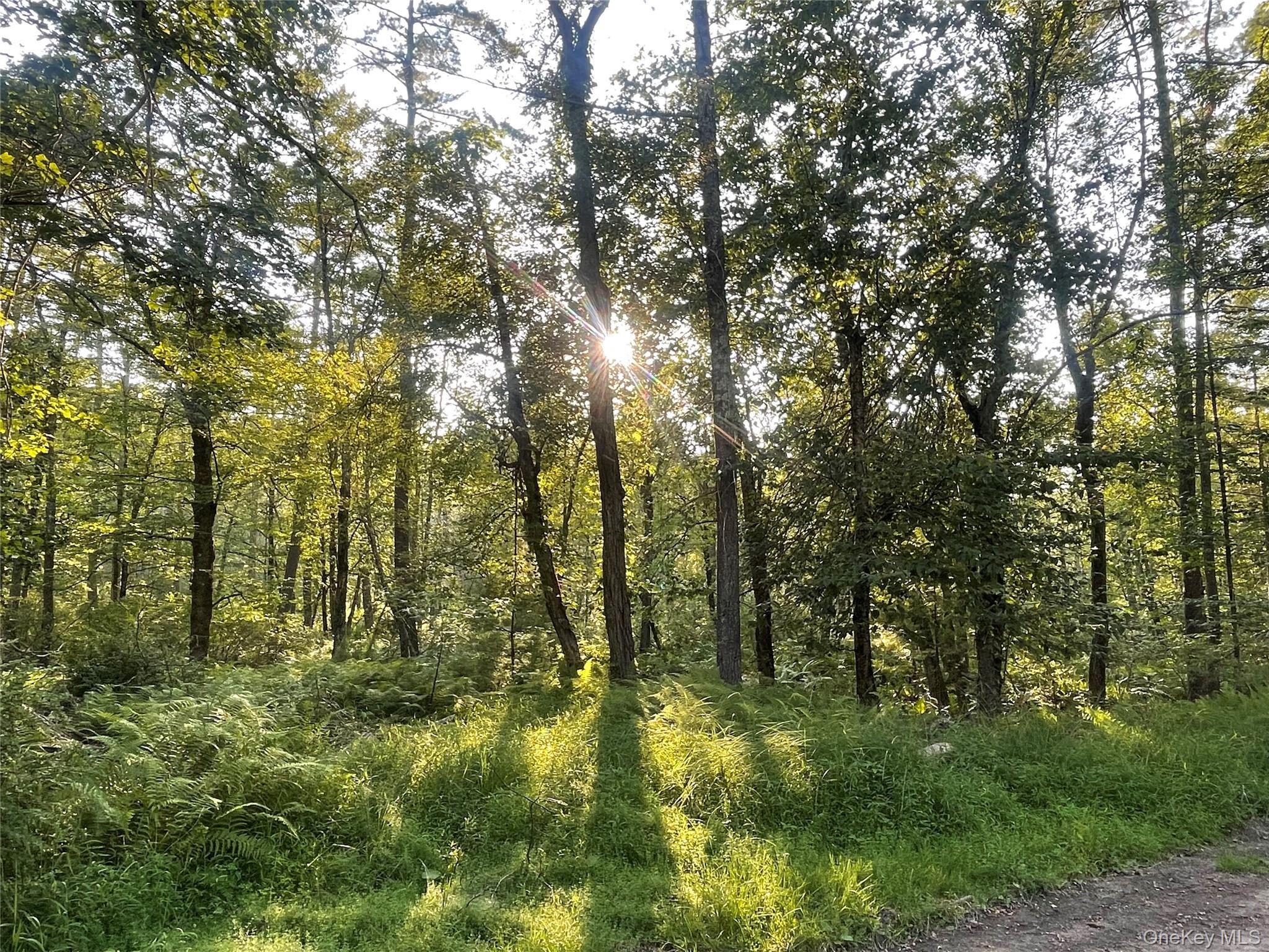 #4 photo, Loch Ada Road, Barryville , NY 12737