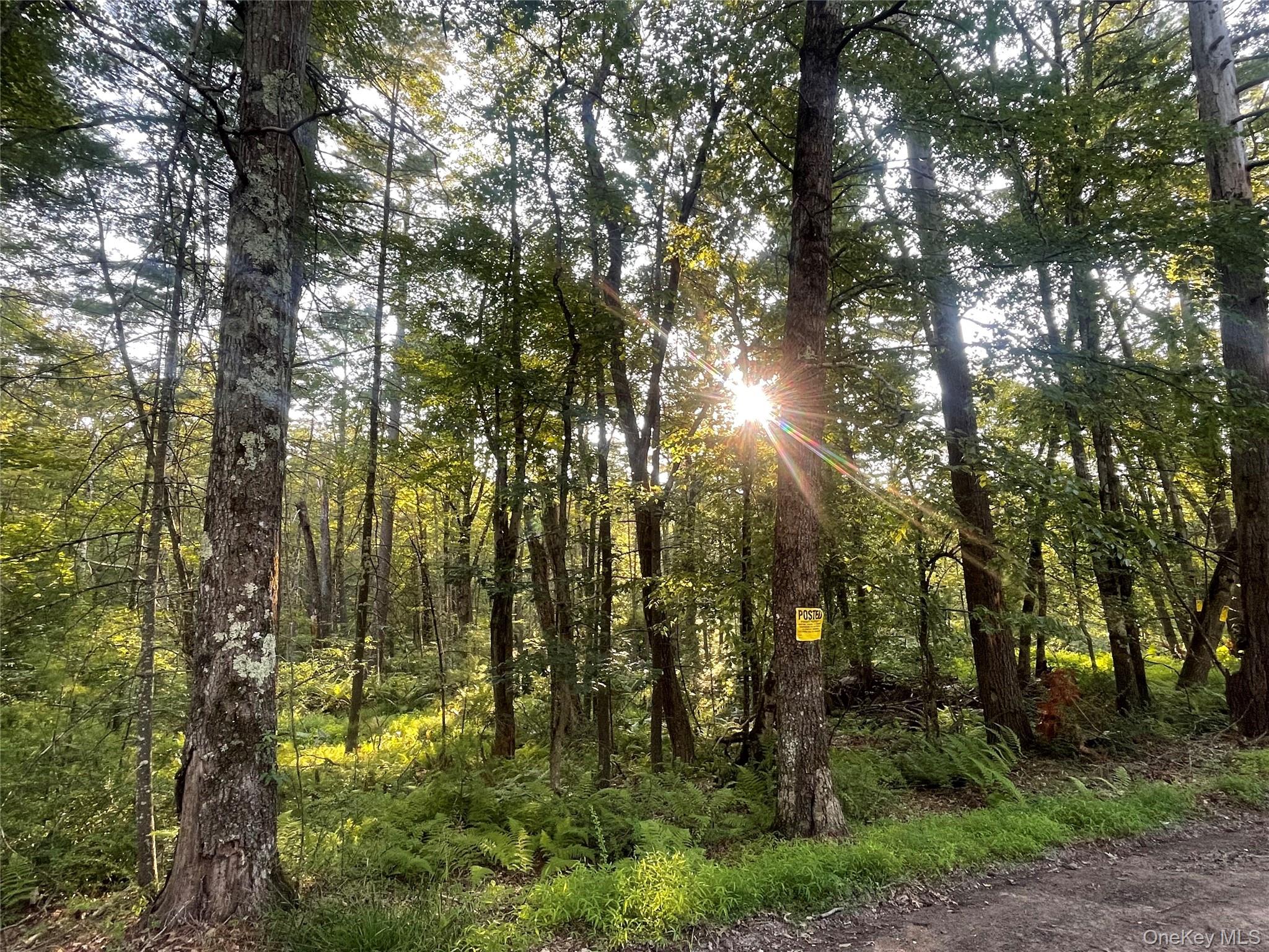 #5 photo, Loch Ada Road, Barryville , NY 12737