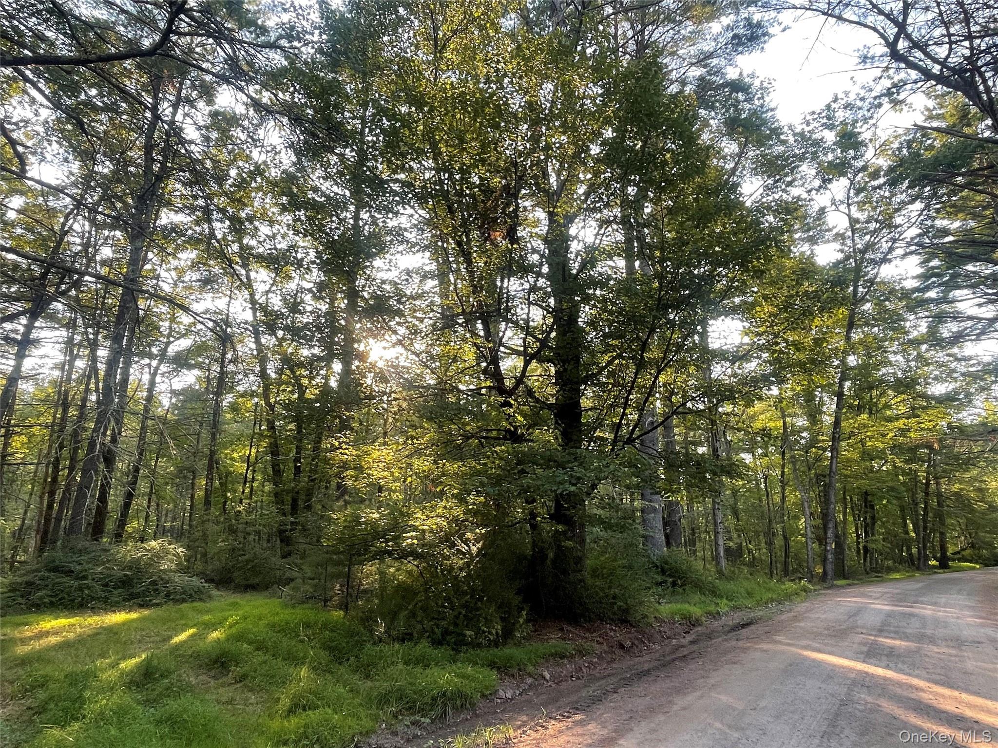 #6 photo, Loch Ada Road, Barryville , NY 12737