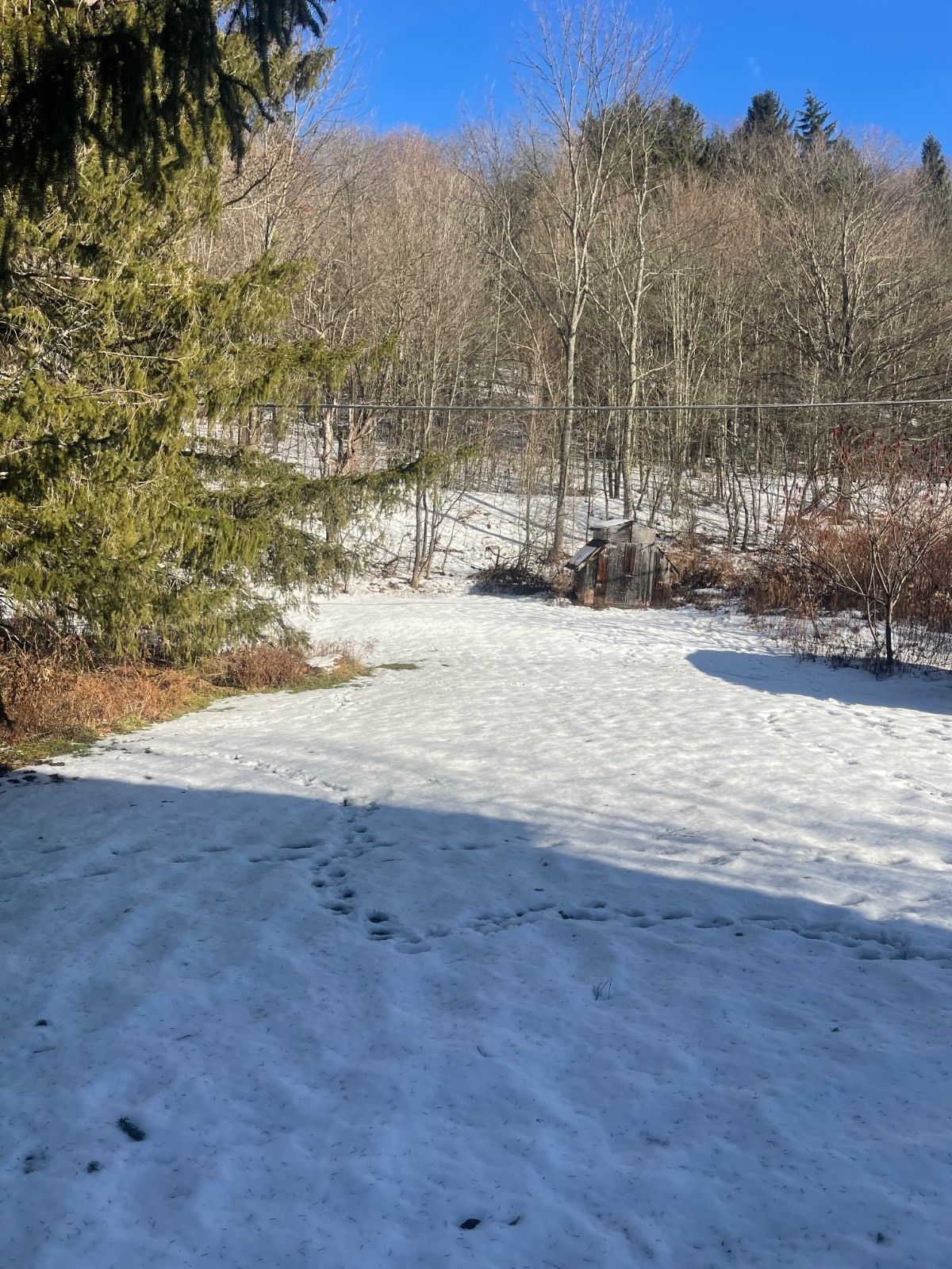 #14 photo, 170 County Hwy 33, Bloomville , NY 13739