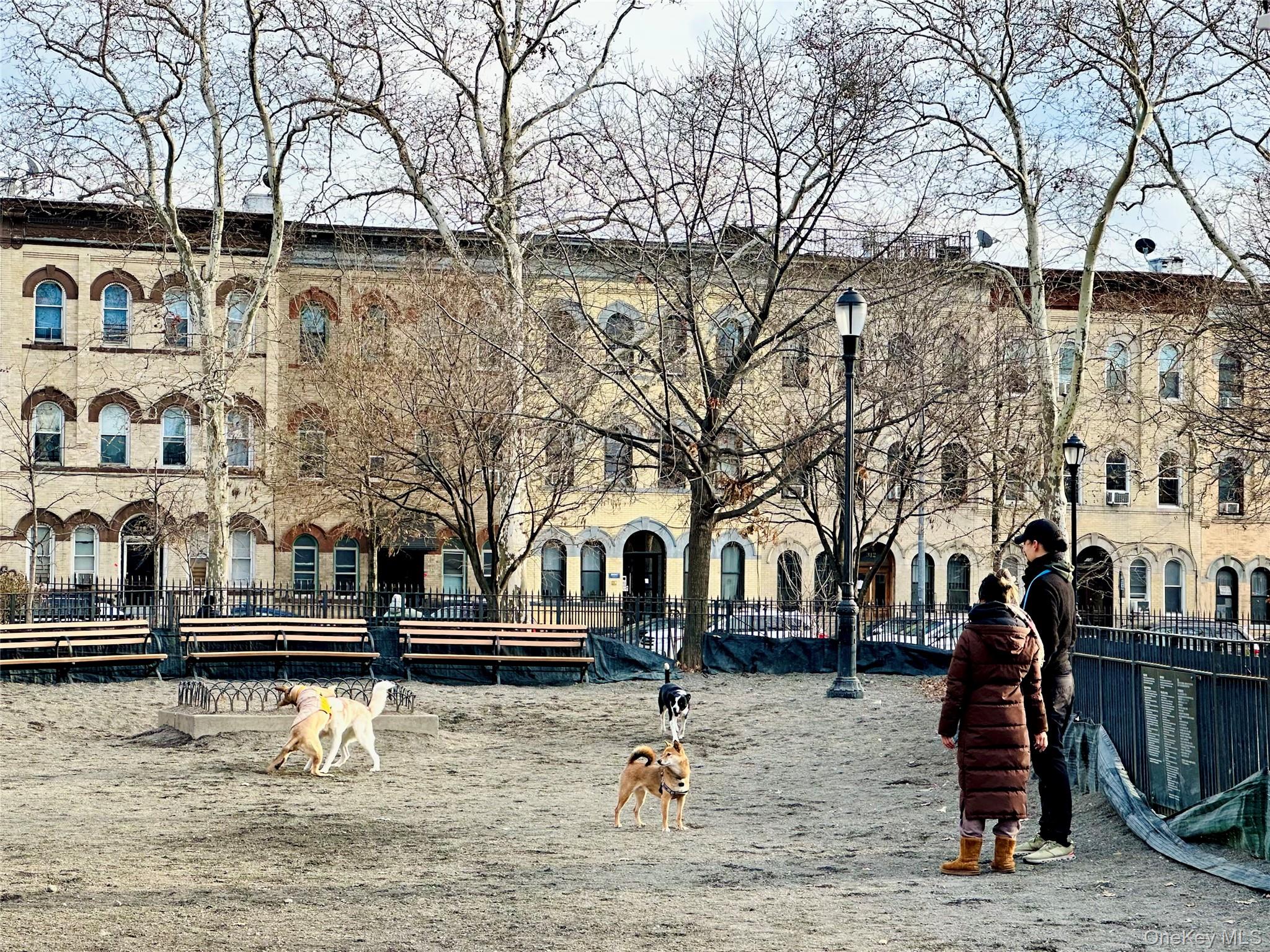 #4 photo, 81 Irving Avenue, Brooklyn , NY 11237