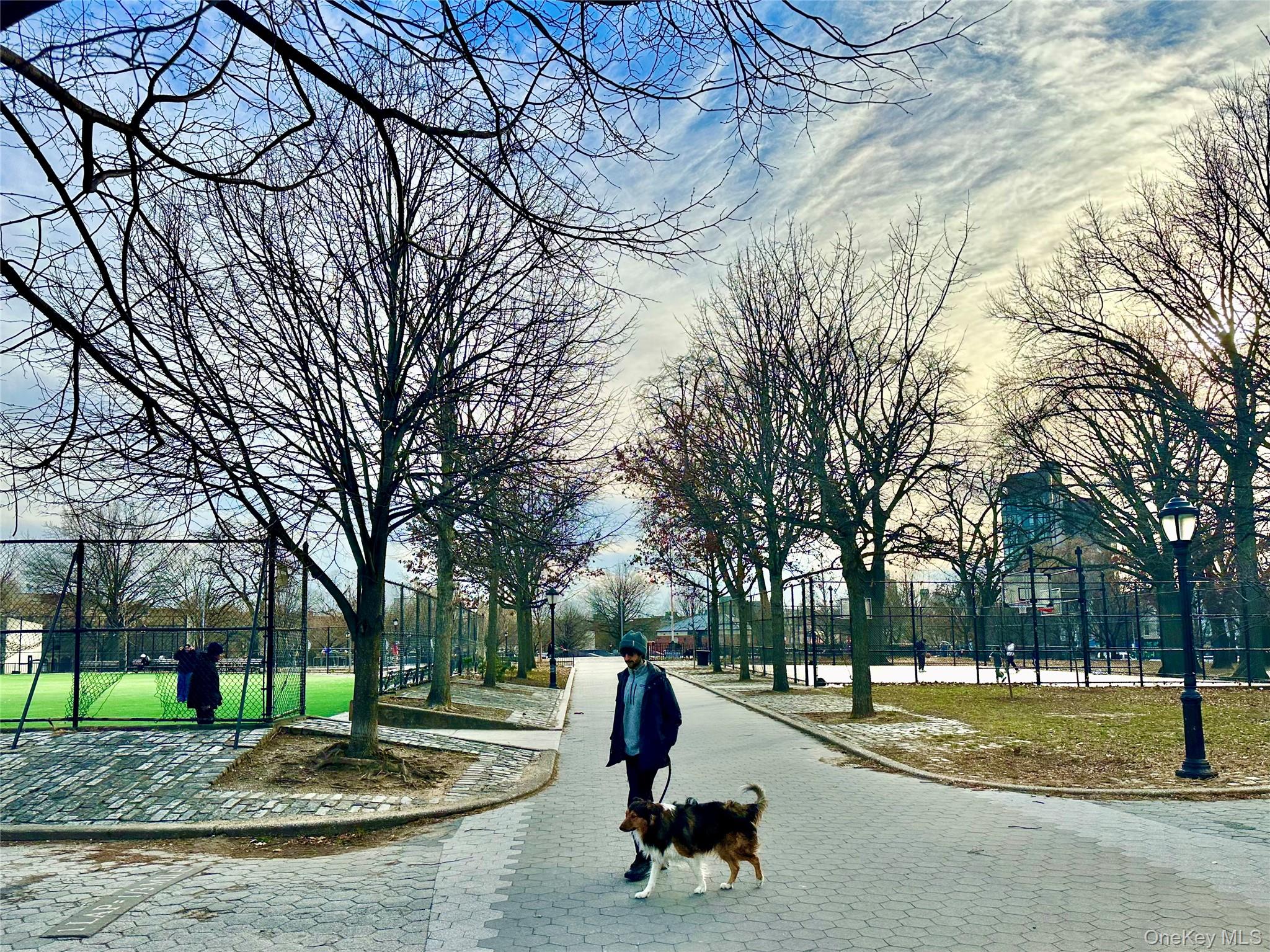 #6 photo, 81 Irving Avenue, Brooklyn , NY 11237