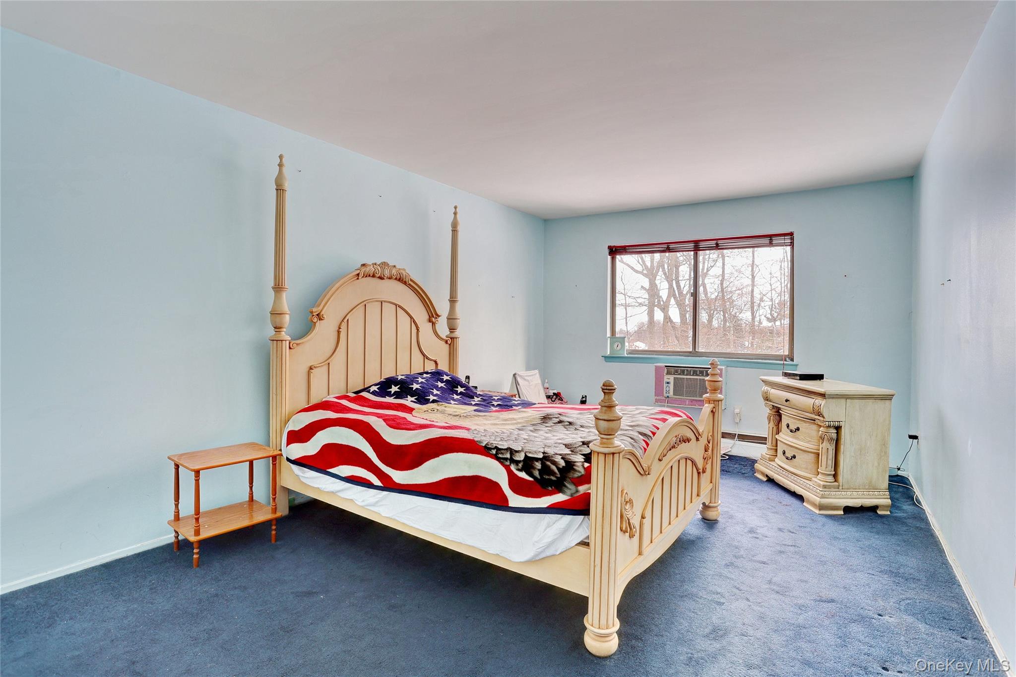 #12 photo, 5 Secora Road, Spring Valley , NY 10977