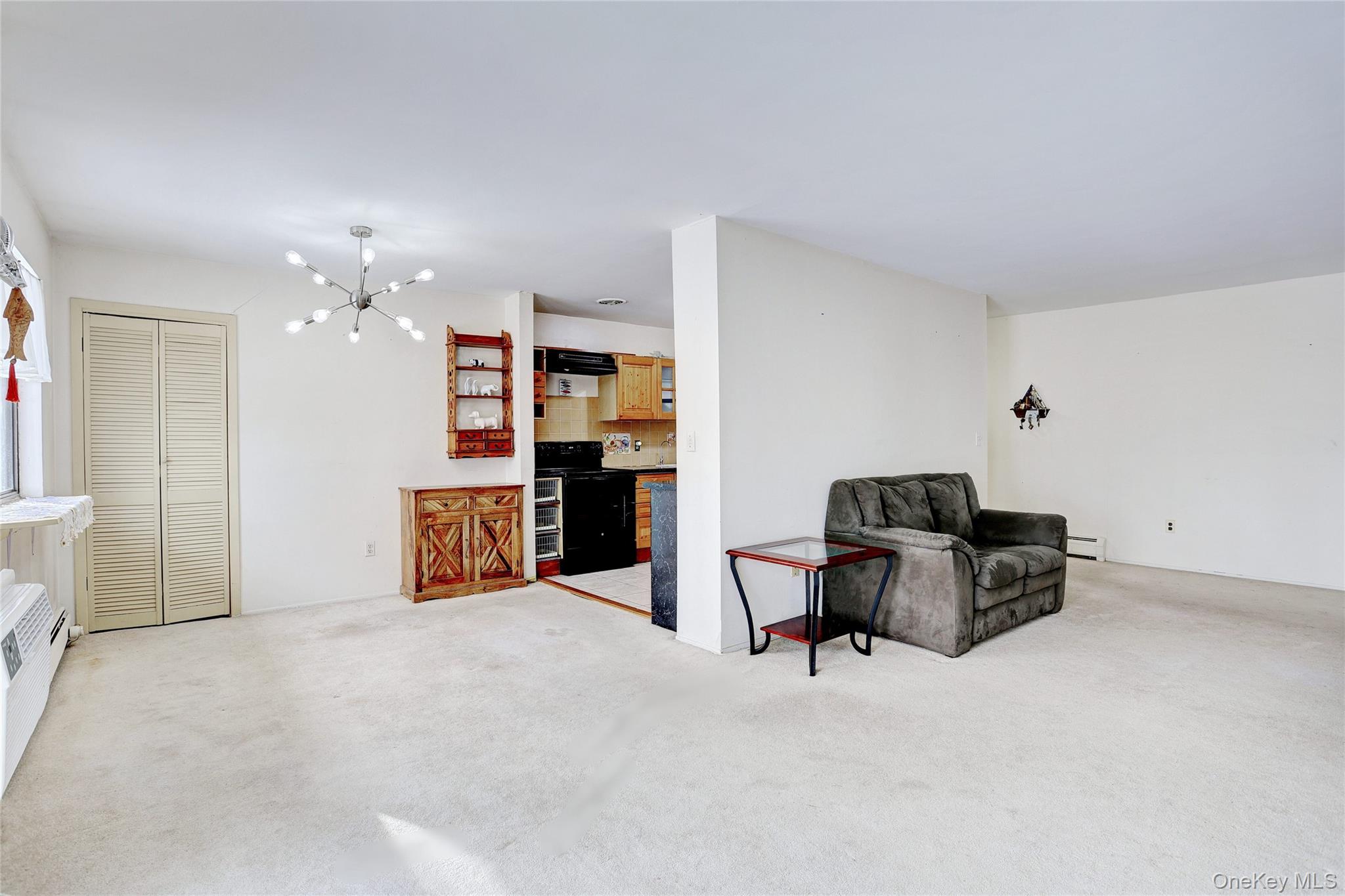 #9 photo, 5 Secora Road, Spring Valley , NY 10977