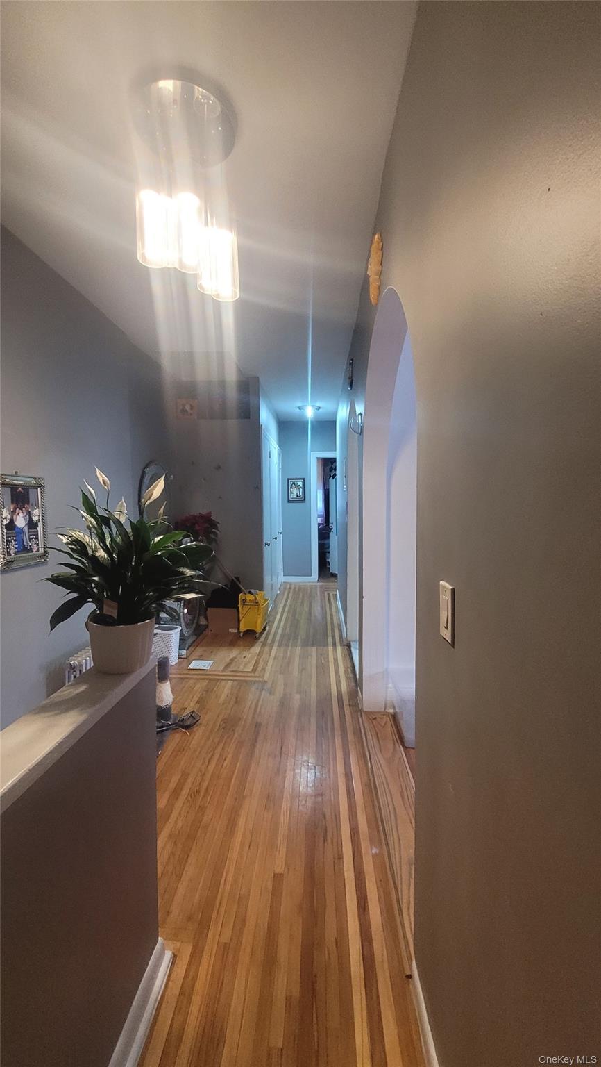 #9 photo, 2924 Yates Avenue, 布朗士 Bronx , NY 10469