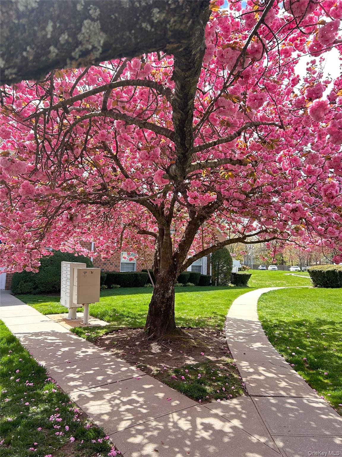 #15 photo, 460 Old Town Road, सफ़ोक काउंटी Port Jefferson Station , NY 11776