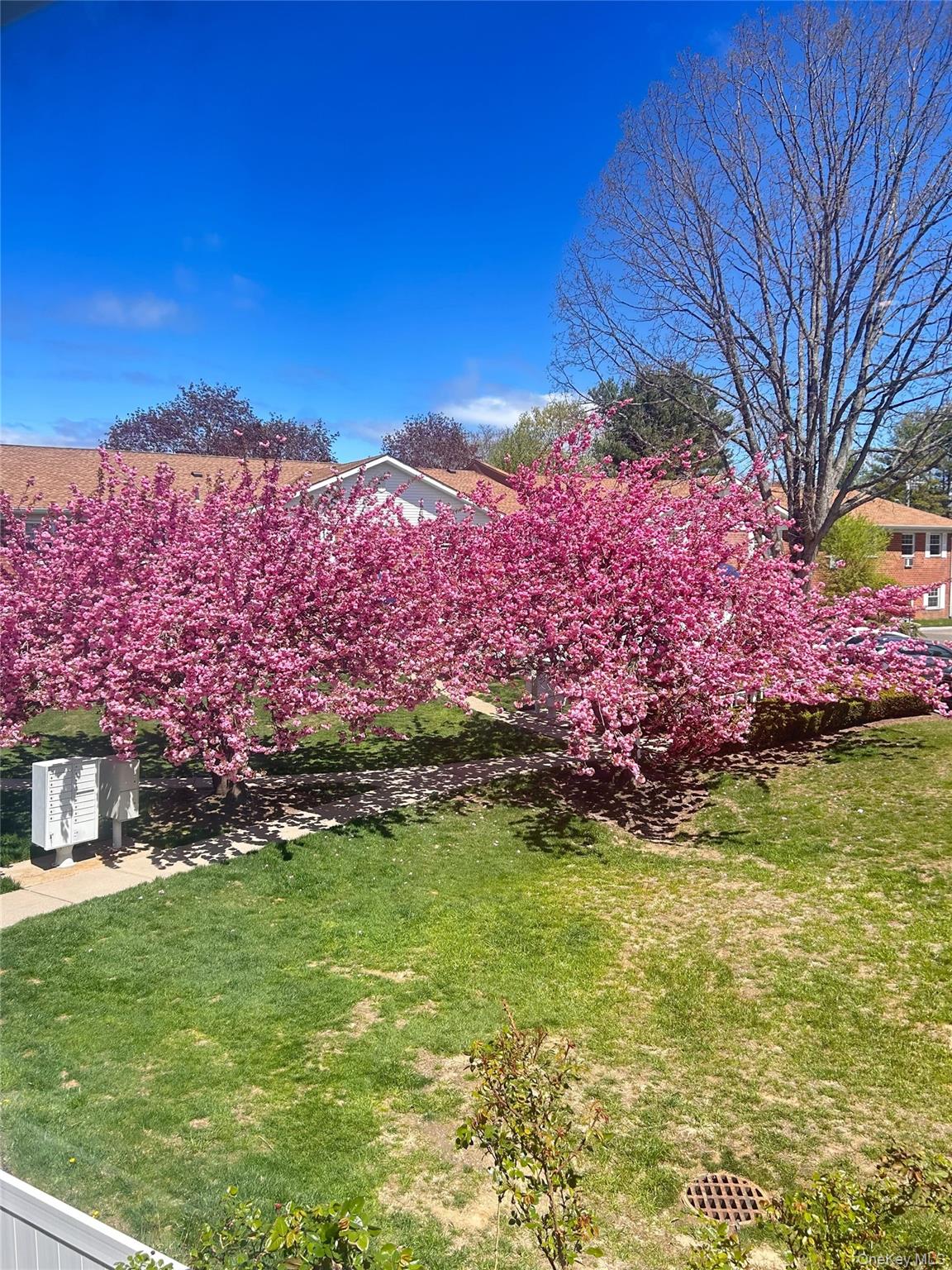 #16 photo, 460 Old Town Road, सफ़ोक काउंटी Port Jefferson Station , NY 11776