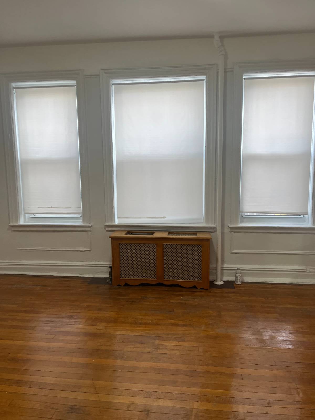 #3 photo, 1065 Grant Avenue, #1, ब्रोंक्स Concourse Village , NY 10456