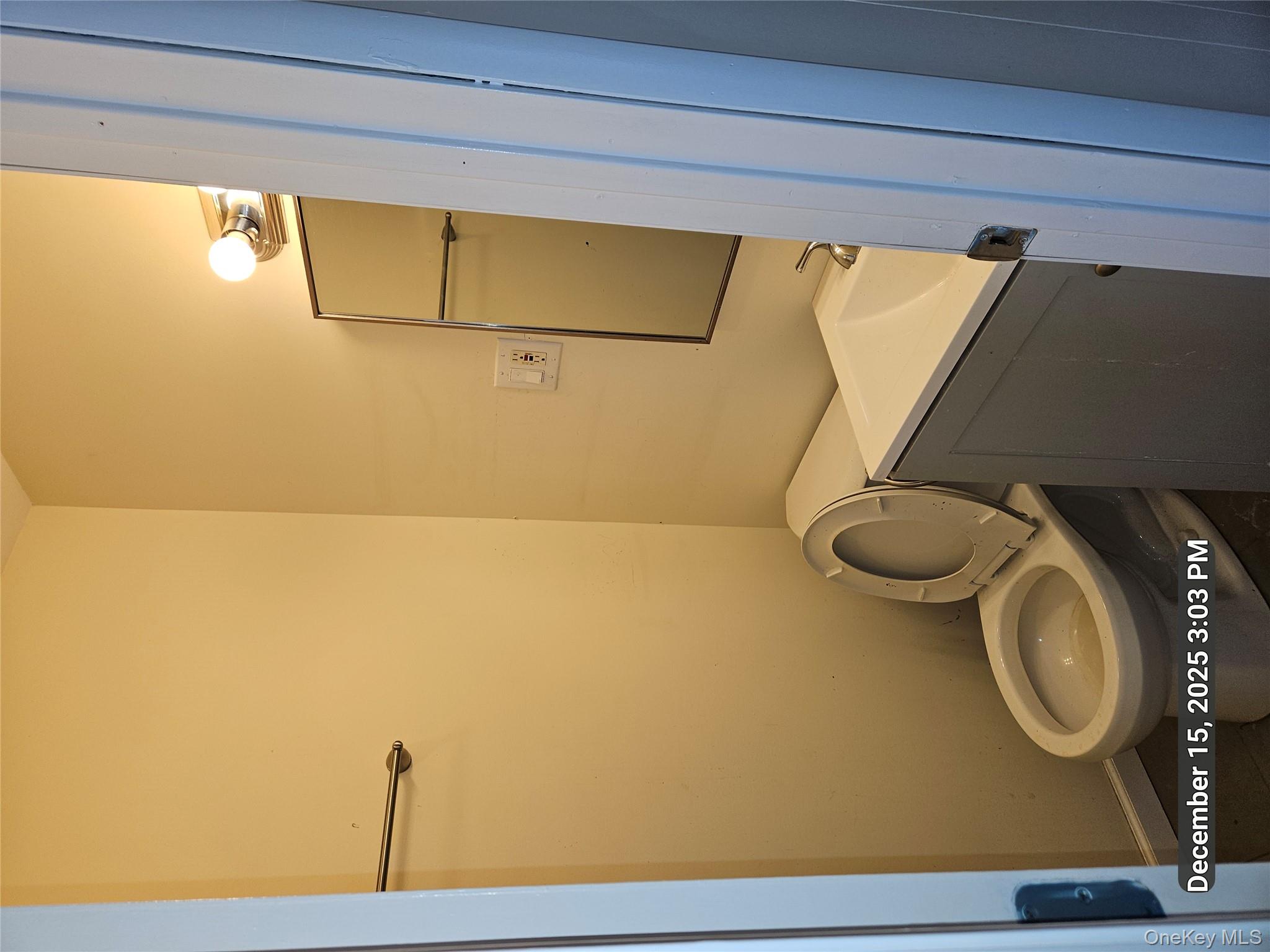 #20 photo, 1 Beech Drive, 东长岛 Ronkonkoma , NY 11779