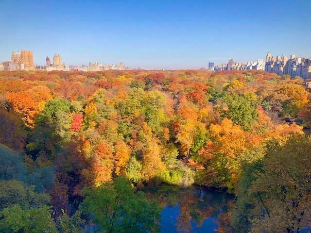 #3 photo, New York City, 曼哈顿 Central Park South , NY 10019