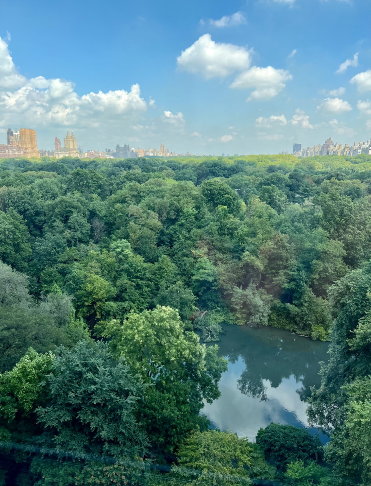 #5 photo, New York City, 曼哈顿 Central Park South , NY 10019