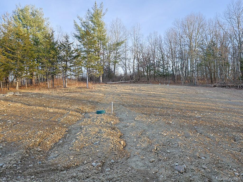 #10 photo, 3368 State Route 208, 纽约州 Campbell Hall , NY 10916