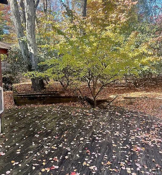 #8 photo, 11 Lomond Avenue, Chestnut Ridge , NY 10977