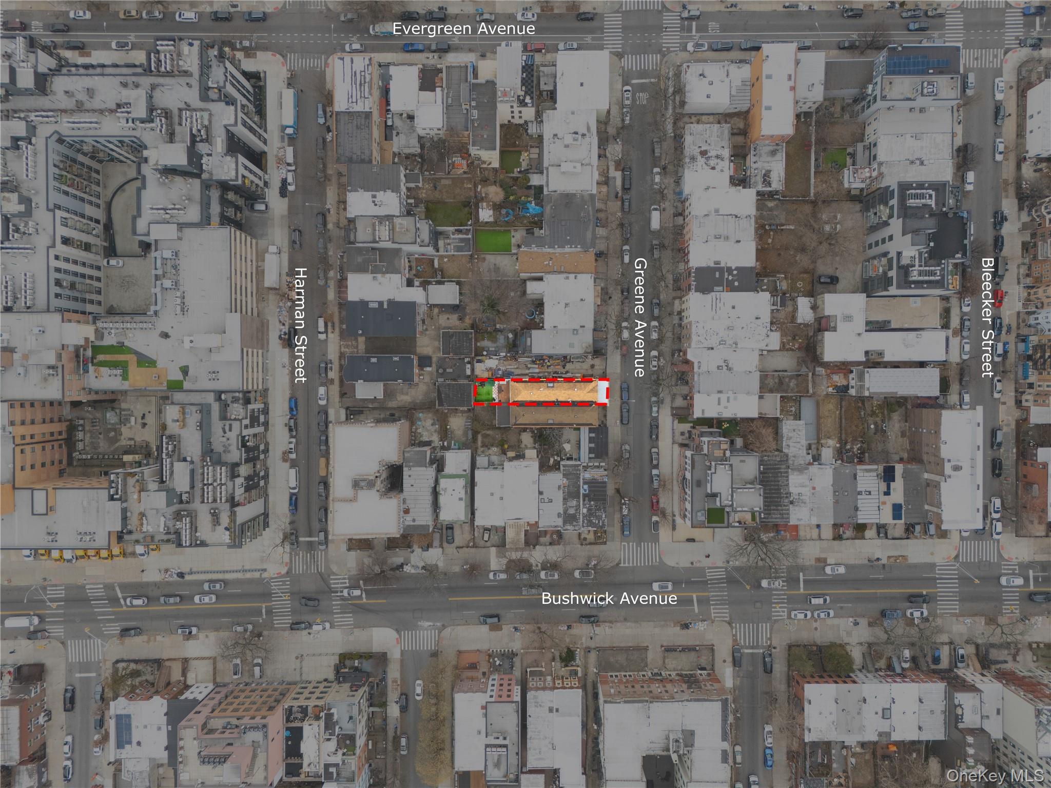 #10 photo, 1101 Greene Avenue, Brooklyn , NY 11221