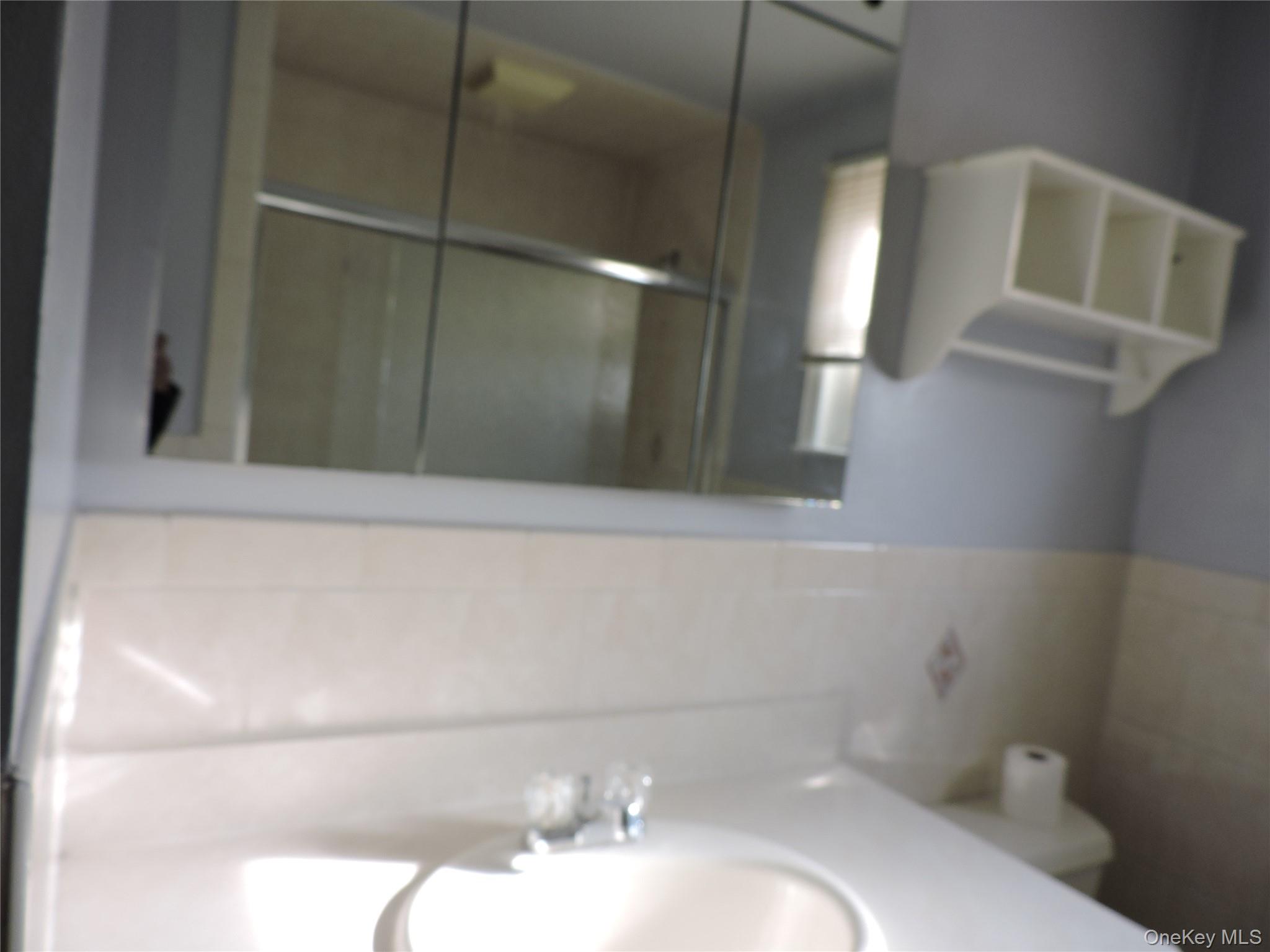 #10 photo, 1299 World Avenue, Elmont , NY 11003