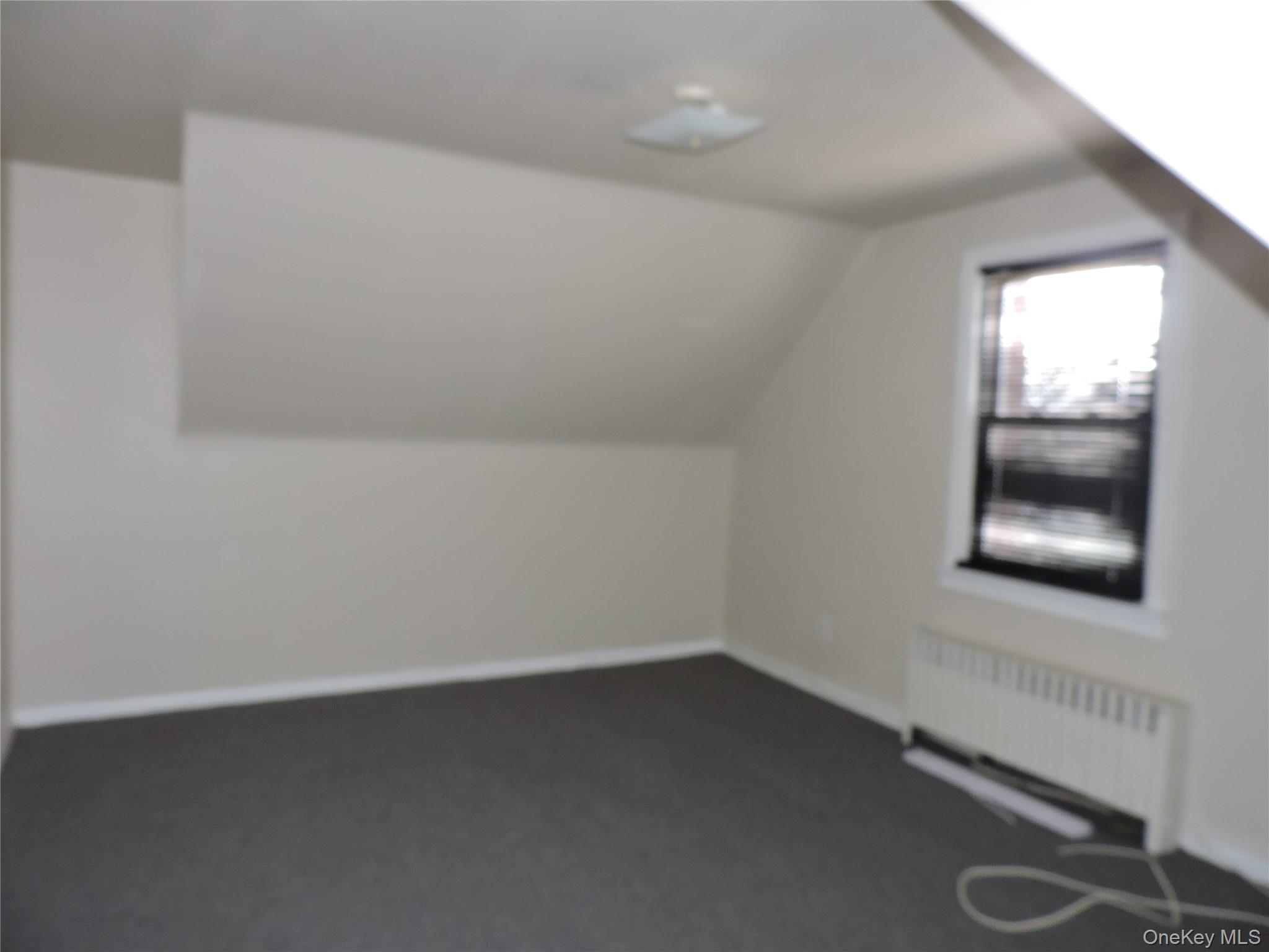 #13 photo, 1299 World Avenue, Elmont , NY 11003