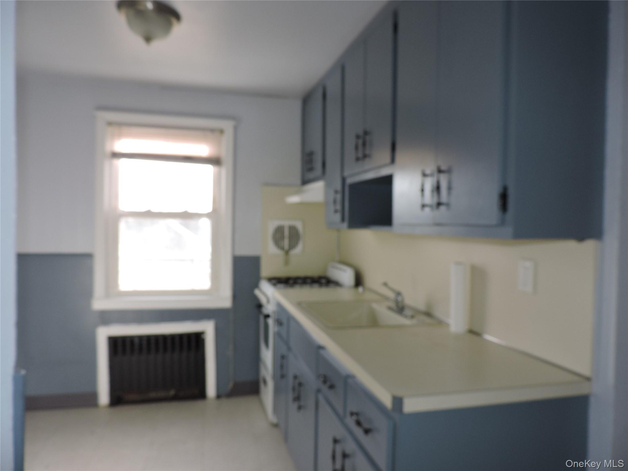 #8 photo, 1299 World Avenue, Elmont , NY 11003