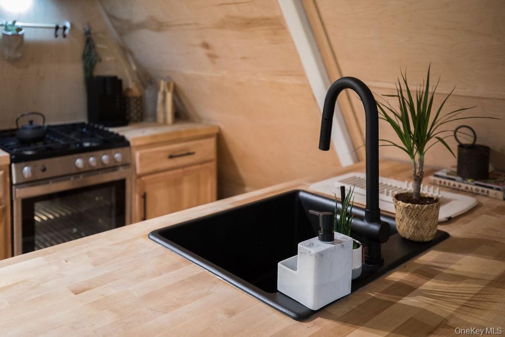 #14 photo, 161 PINE HILL Road, 纽约州 Shandaken , NY 12465