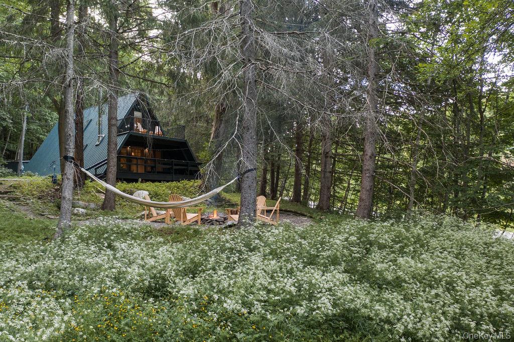 #2 photo, 161 PINE HILL Road, 纽约州 Shandaken , NY 12465