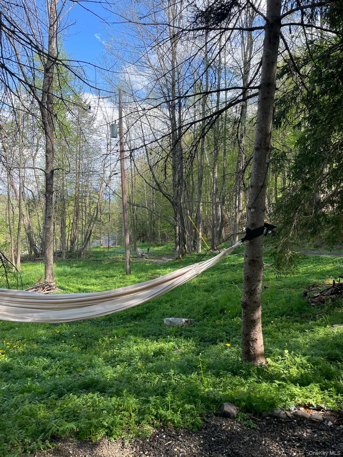 #3 photo, 161 PINE HILL Road, 纽约州 Shandaken , NY 12465