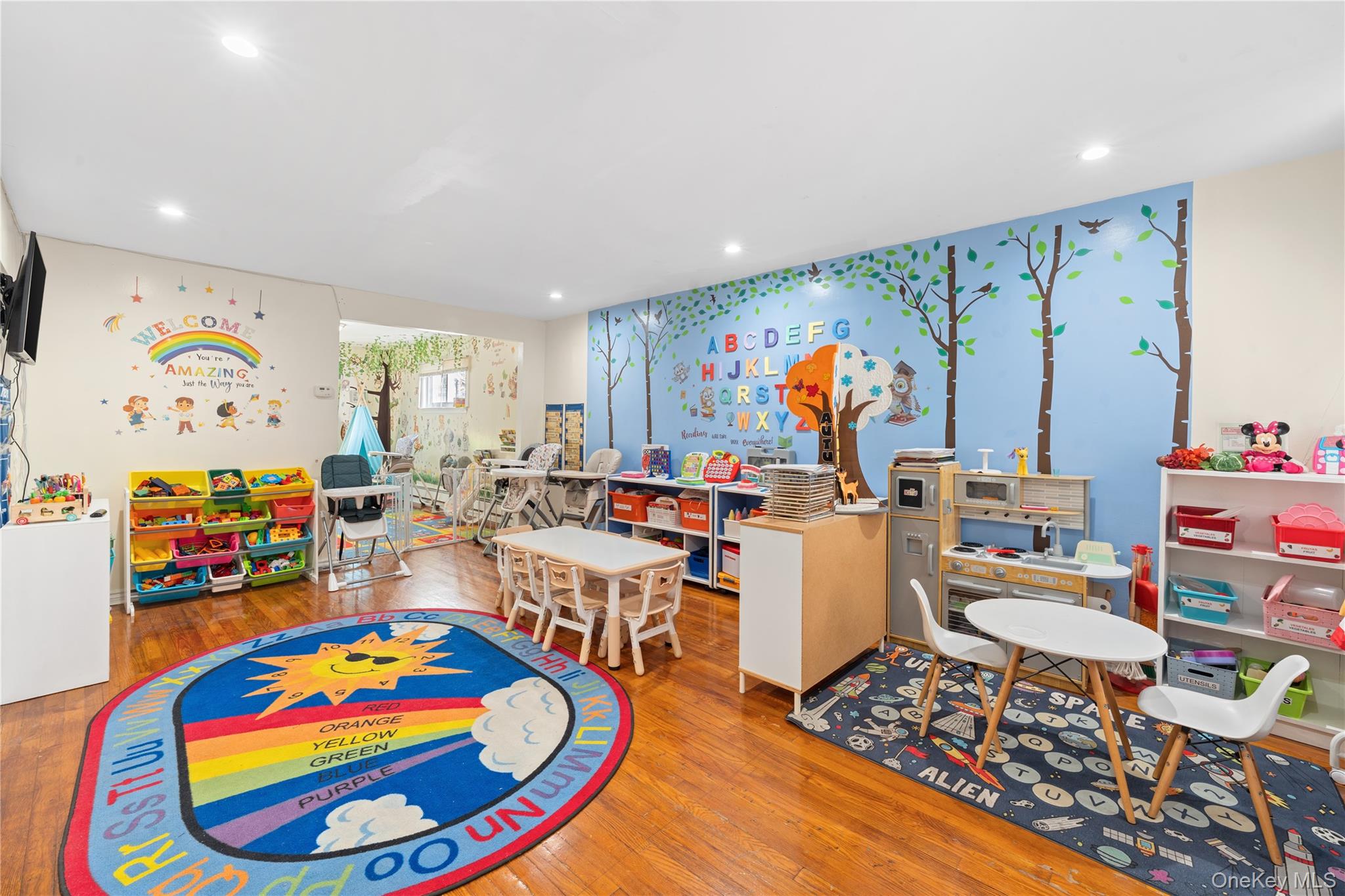 #10 photo, 1031 E 225, הברונקס Bronx , NY 10466