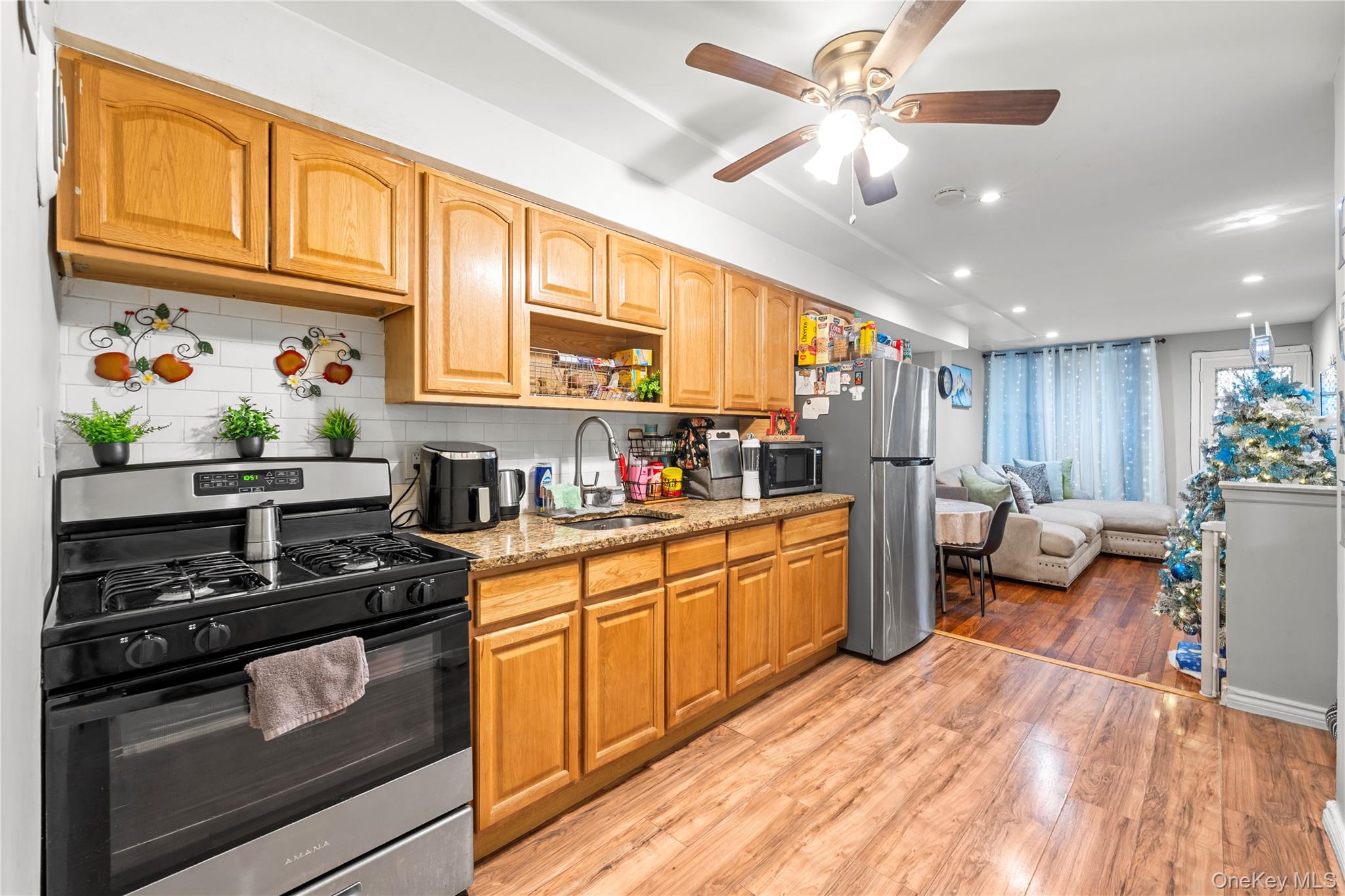 #17 photo, 1031 E 225, הברונקס Bronx , NY 10466