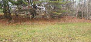 #23 photo, 128 Steinmetz rd, 纽约州 Ashland , NY 12407