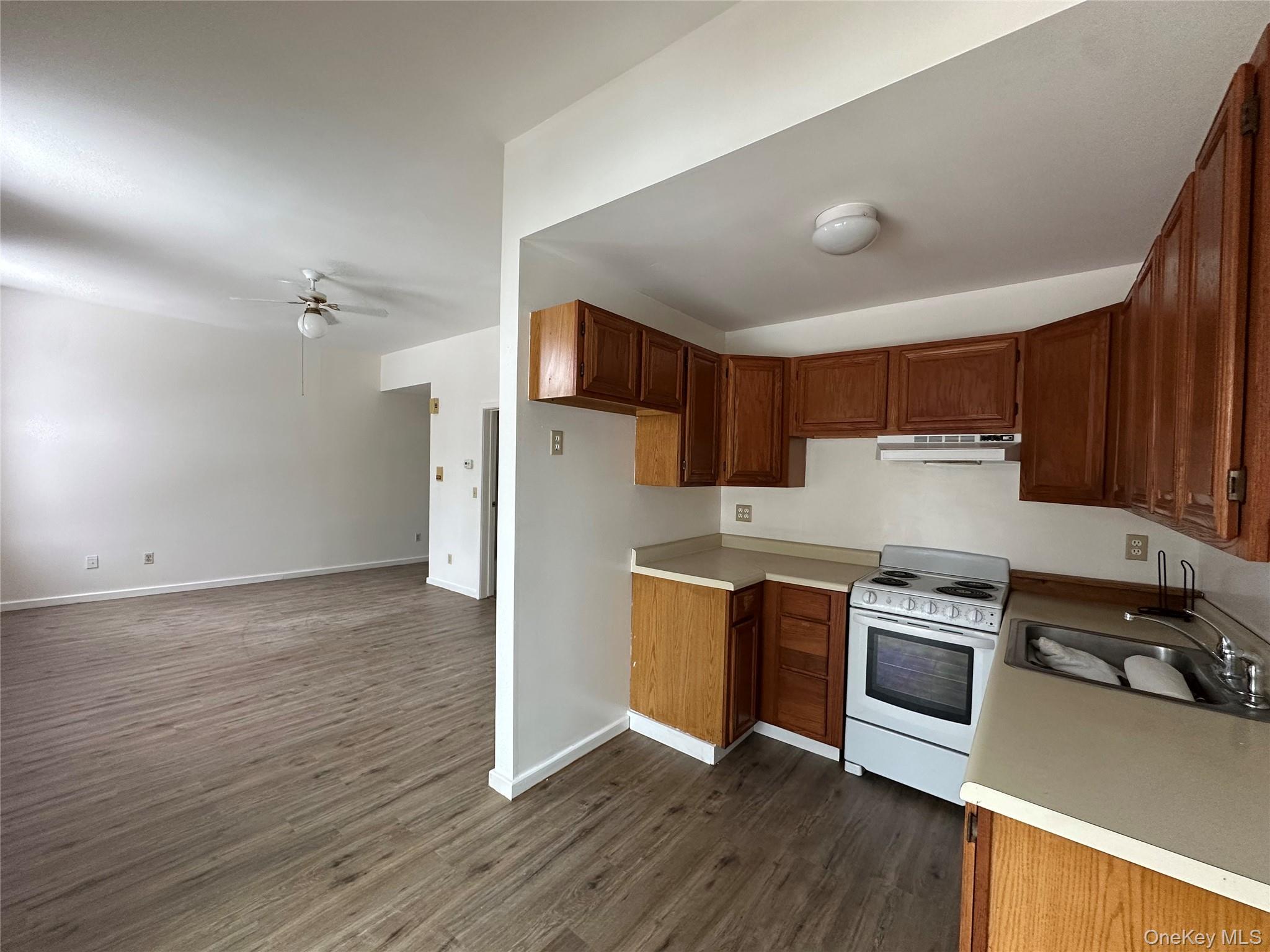 #8 photo, 165 Ulster Avenue, Saugerties , NY 12477