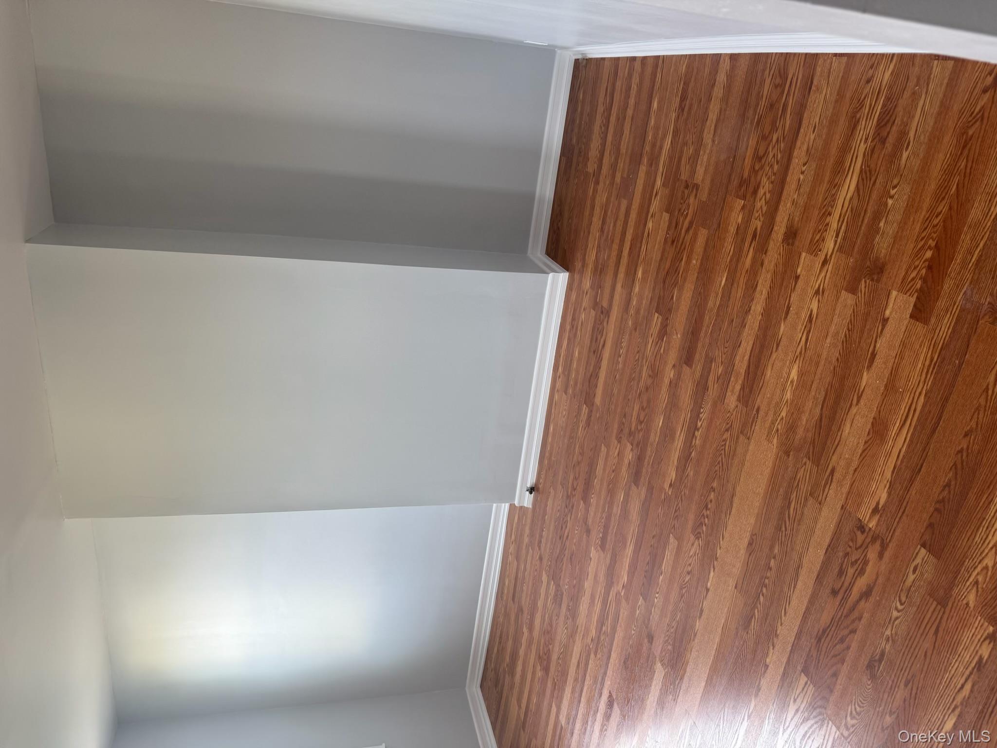 #5 photo, 166A Schaefer Street, Brooklyn , NY 11207