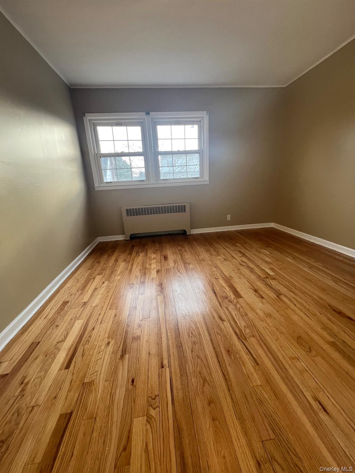 #11 photo, 243 Lee Avenue, Hicksville , NY 11801