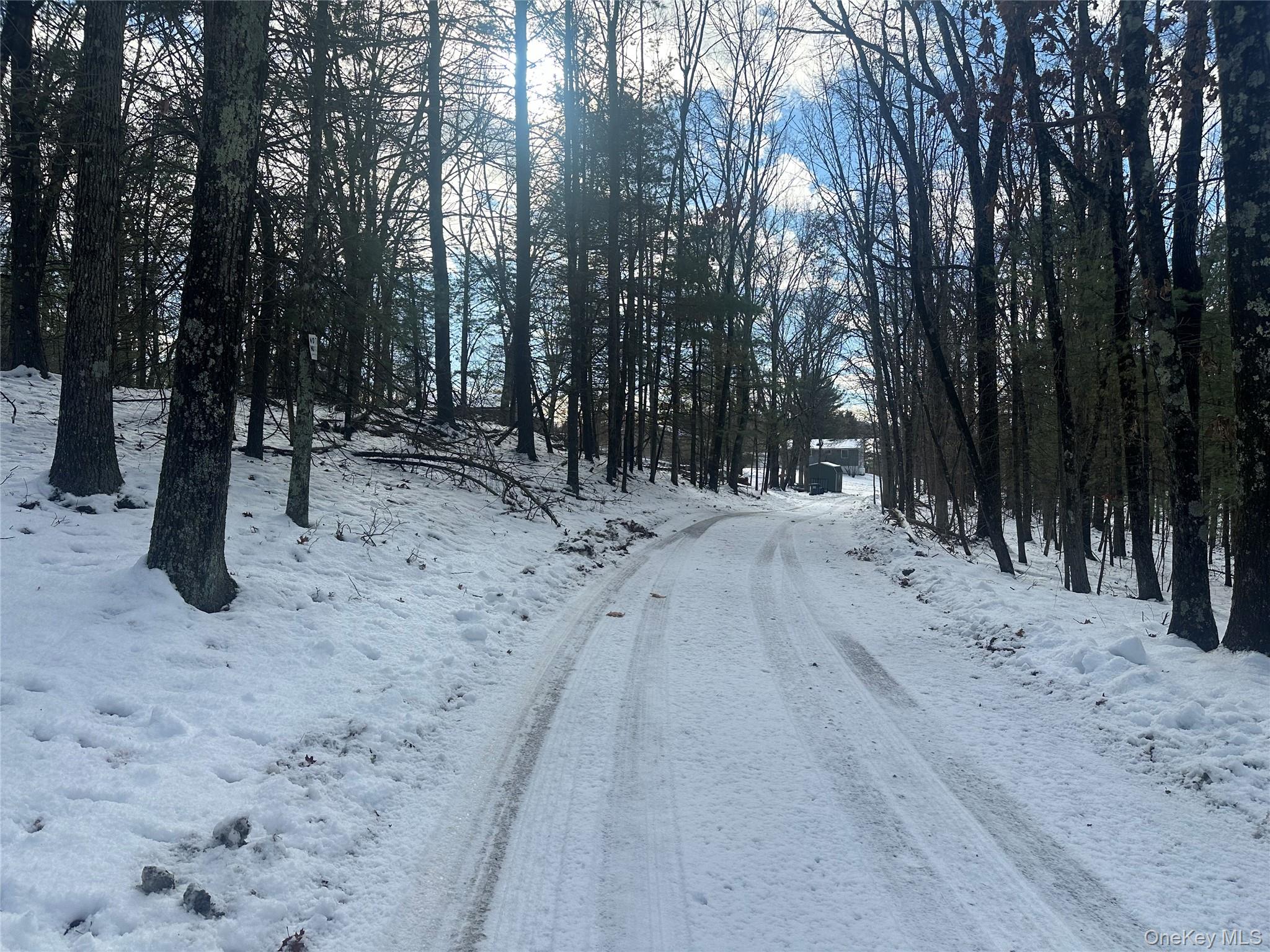 #1 photo, Cedar Drive, Elizaville , NY 12523