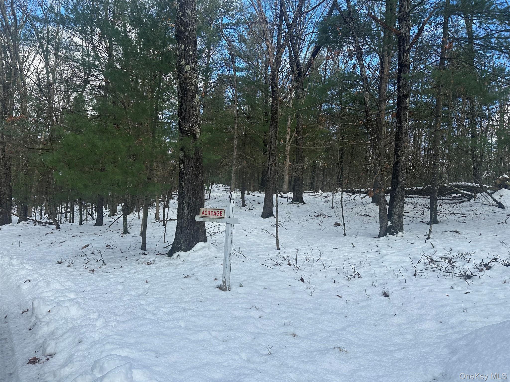 #5 photo, Cedar Drive, Elizaville , NY 12523