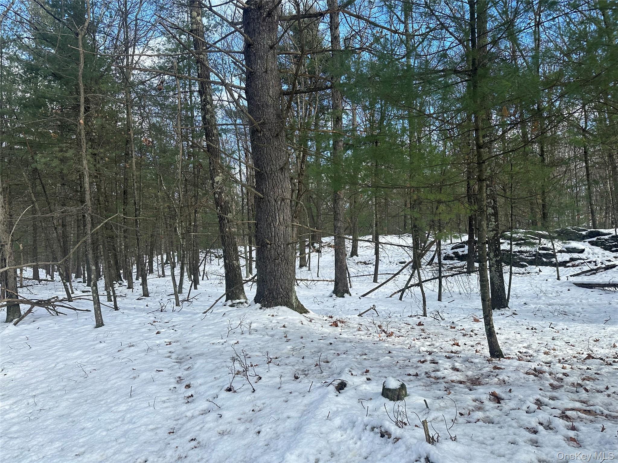 #6 photo, Cedar Drive, Elizaville , NY 12523