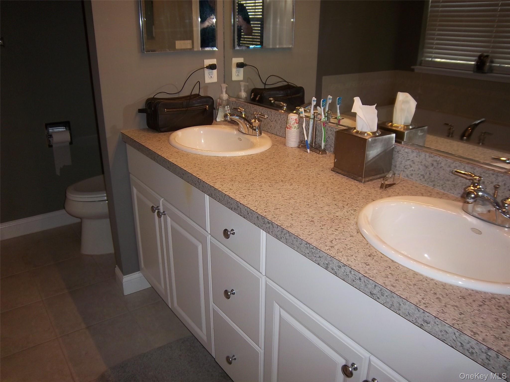 #19 photo, 36 Briarbrook Drive, Briarcliff Manor , NY 10510