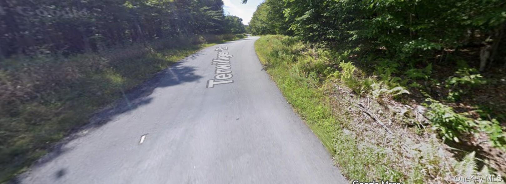 #2 photo, Lot 7 & 8 Terwilliger Road, Livingston Manor , NY 12758