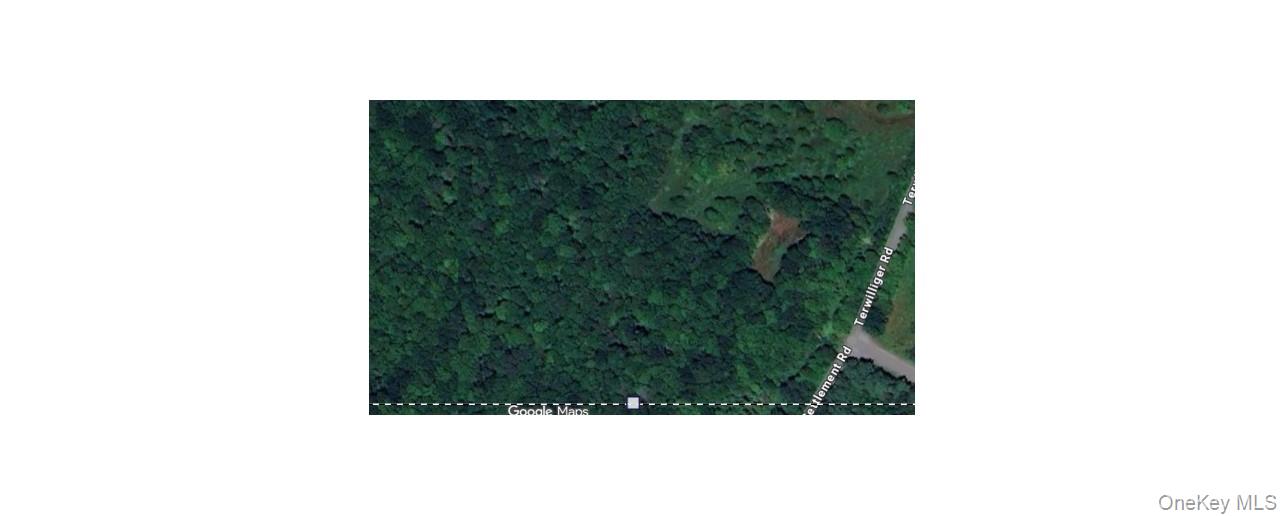 #3 photo, Lot 7 & 8 Terwilliger Road, Livingston Manor , NY 12758