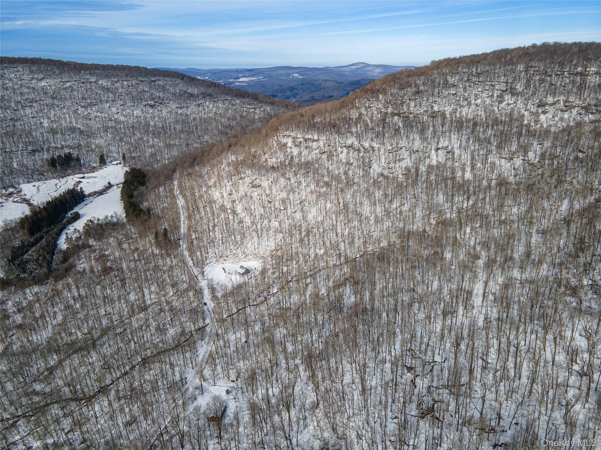 #3 photo, 499 Cross Mountain Road, Livingston Manor , NY 12758