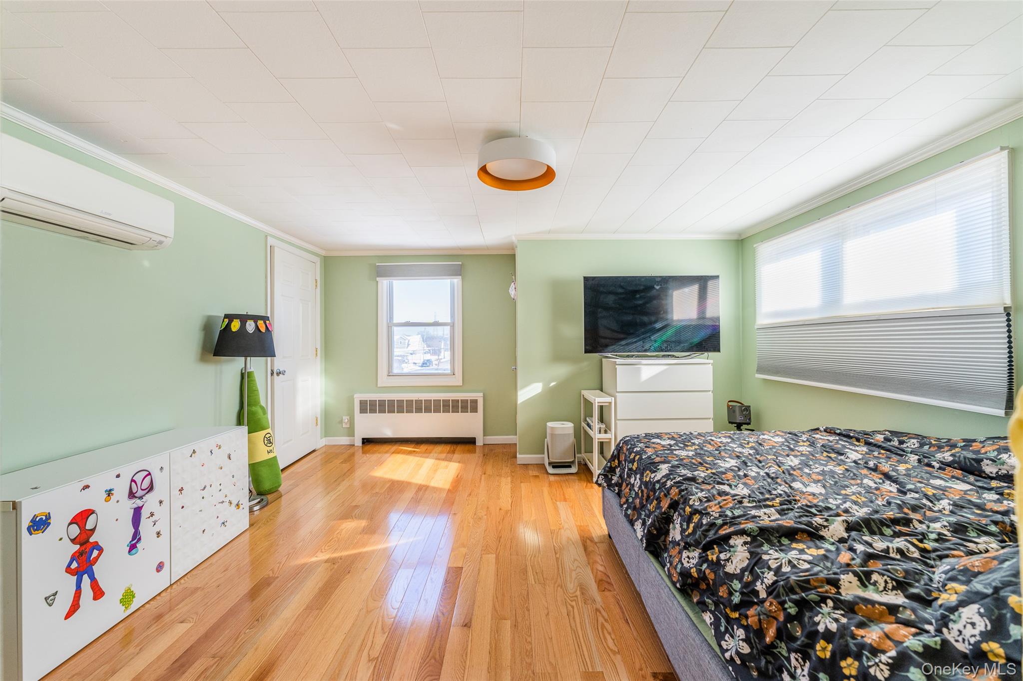 #20 photo, 94 Sheridan Boulevard, Нассау ‖ Mineola , NY 11501